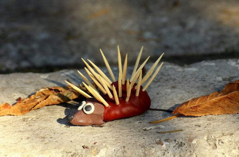 Knutselen Met Kastanjes: Leuke Knutseltips Voor In De Herfst - Creatiefje